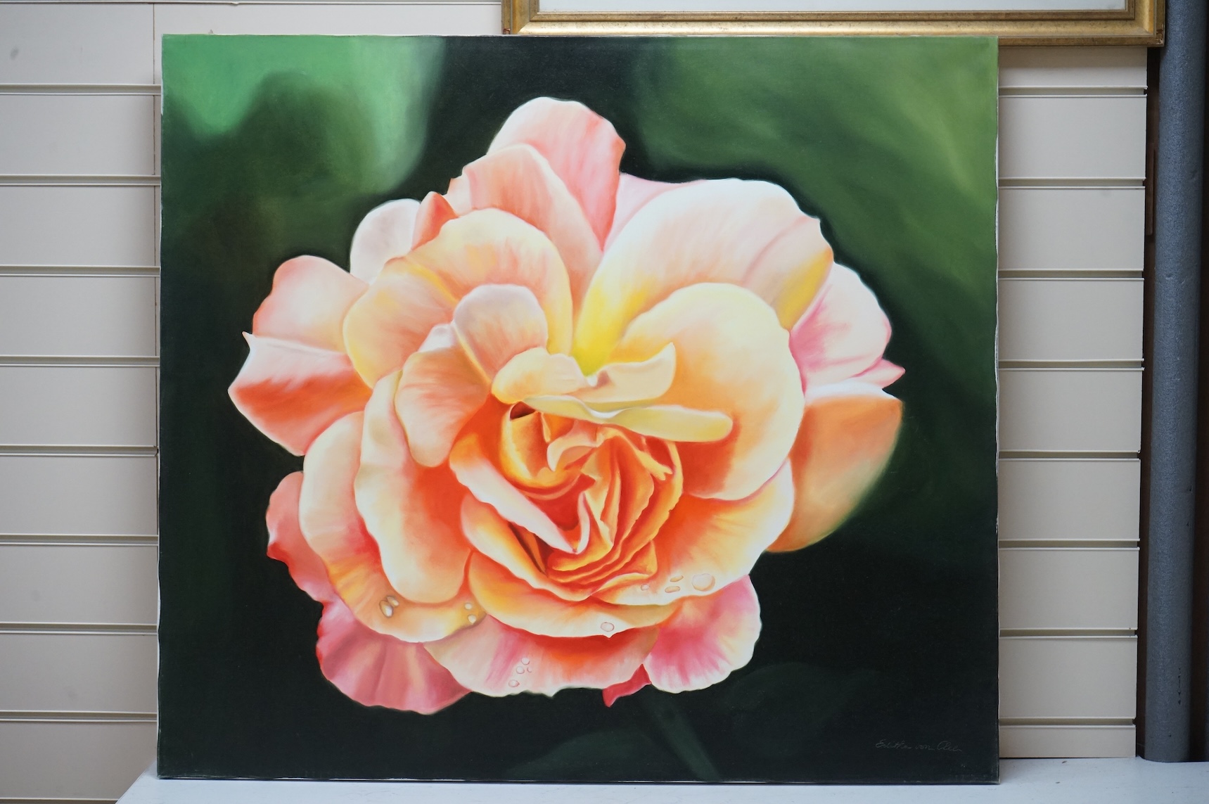 Editha von Clee (b.1940), oil on canvas, Study of a flower with water droplets, signed, 80 x 89cm, unframed